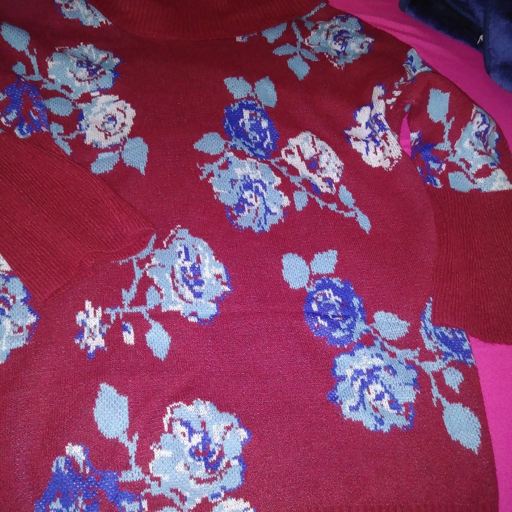 Pioneer woman sweater